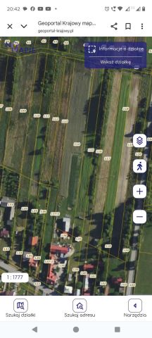 Działka rolno-budowlana Szarowola. Zdjęcie 1