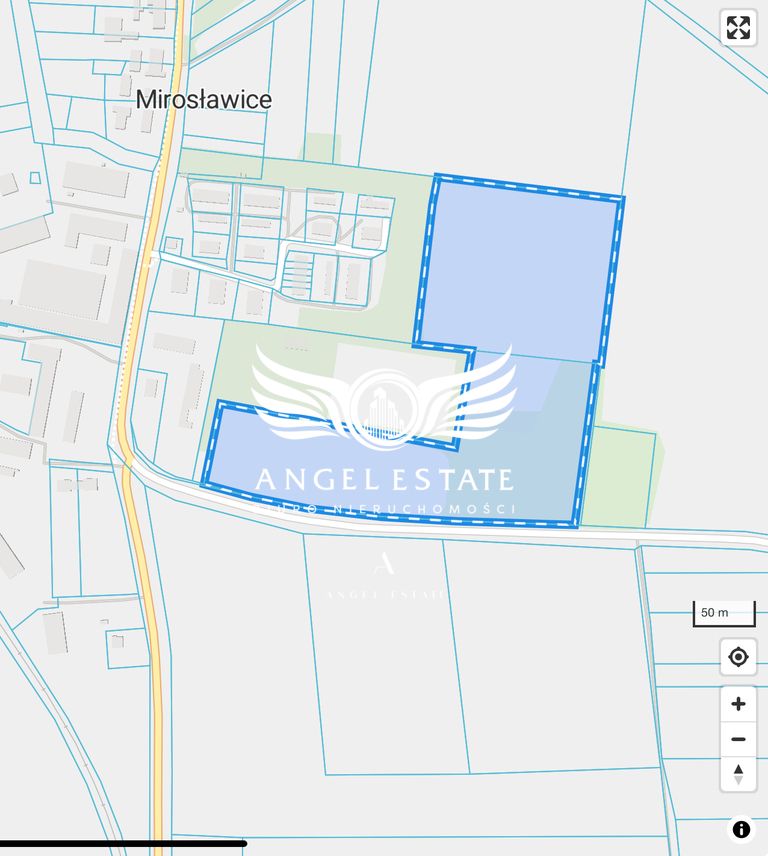 Działka rolna Mirosławice. Zdjęcie 3