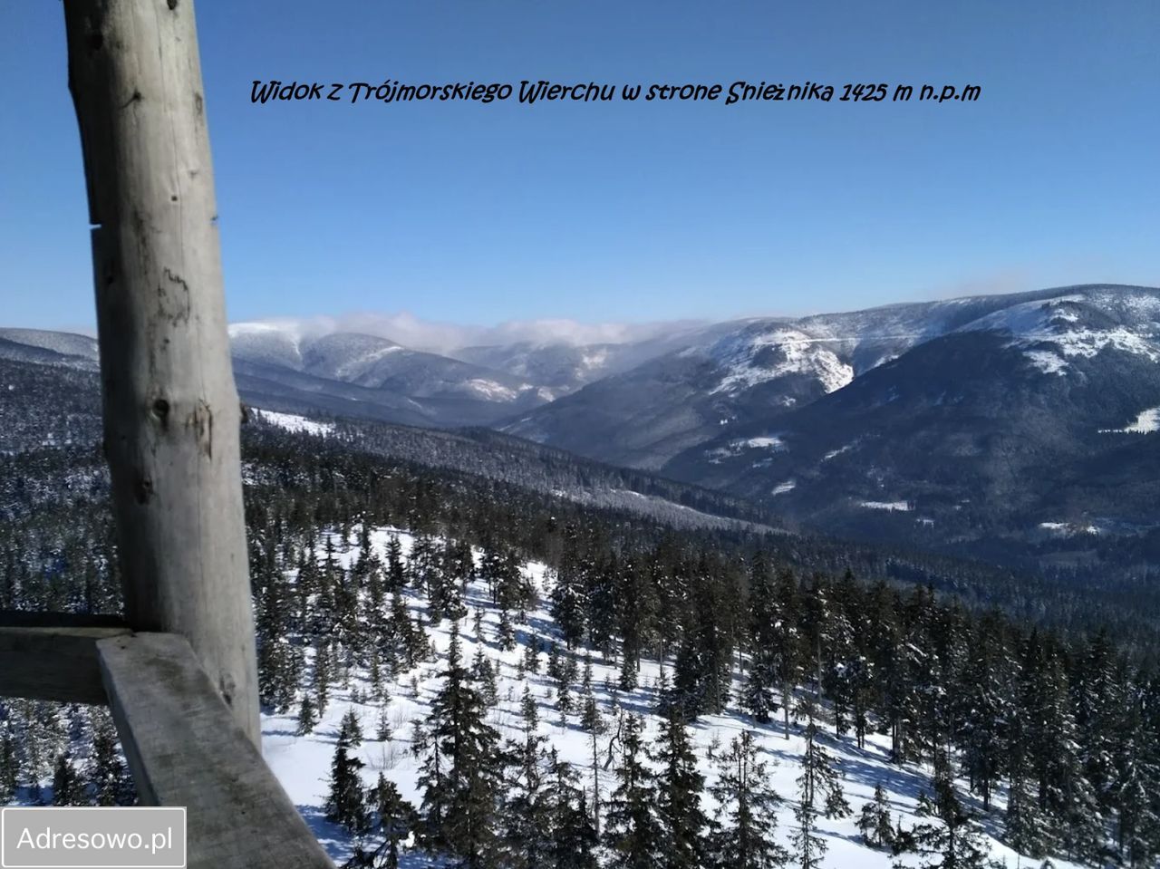 Działka budowlana Jodłów. Zdjęcie 12