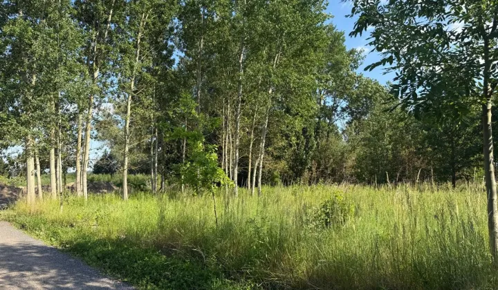 Działka budowlana Obłotne, ul. Kobaltowa