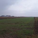 Działka inwestycyjna Falenty Duże. Zdjęcie 4