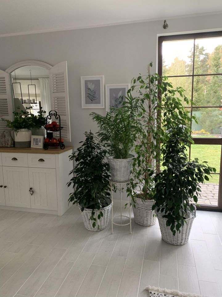 dom wolnostojący, 5 pokoi Bartoszyce, ul. Poprzeczna. Zdjęcie 6