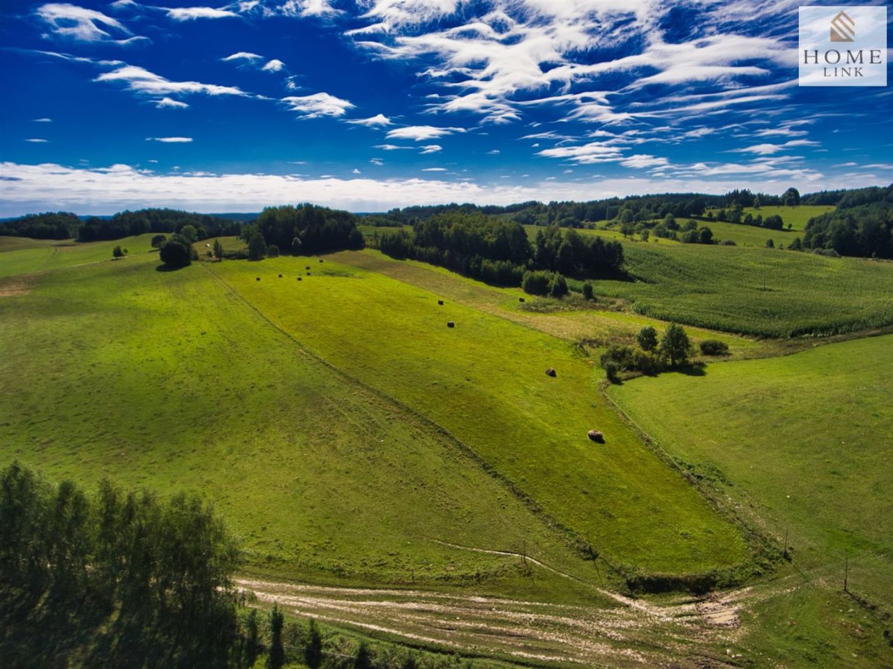 Działka rolna Jarandowo. Zdjęcie 6