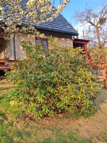 dom wolnostojący, 3 pokoje Brenna, ul. Stawy. Zdjęcie 6