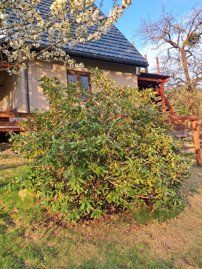 dom wolnostojący, 3 pokoje Brenna, ul. Stawy. Zdjęcie 6