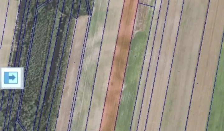 Działka rolno-budowlana Wycinka