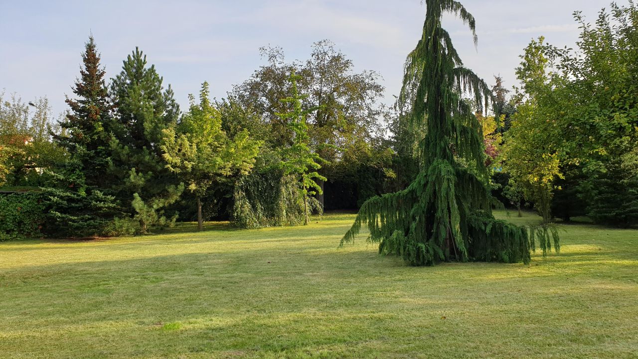 Działka budowlana Koło Kaliskie Przedmieście, ul. Powstańców 1863 r.. Zdjęcie 6