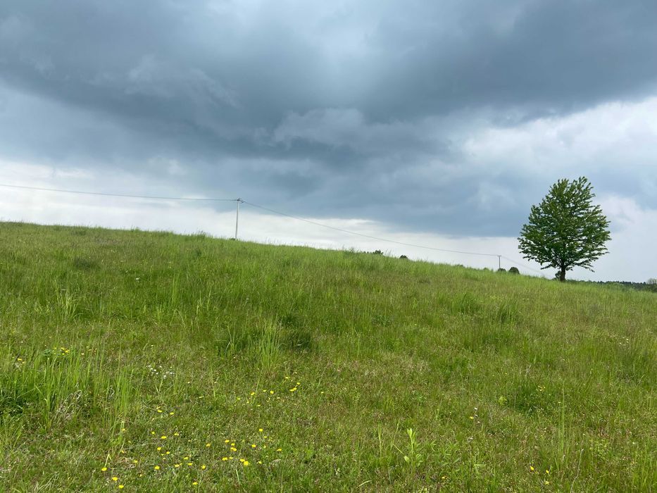 Działka rolno-budowlana Minoga. Zdjęcie 4