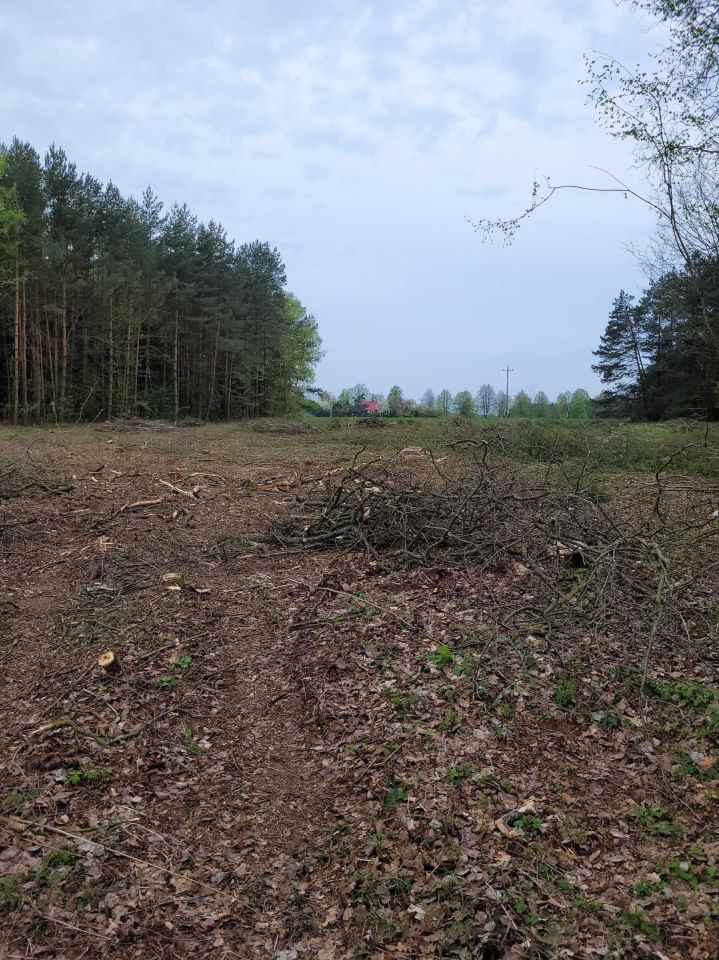 Działka budowlana Zalesiany