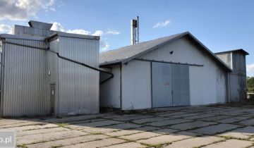 Hala/magazyn Wola Rzędzińska