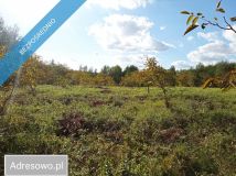 Działka inwestycyjna Albigowa. Zdjęcie 2