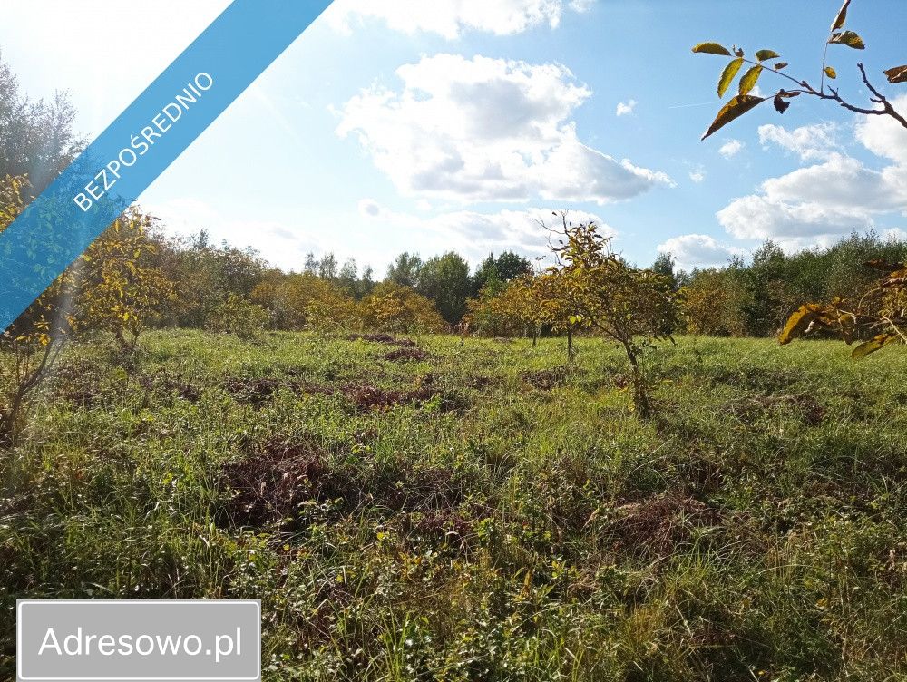 Działka inwestycyjna Albigowa. Zdjęcie 3