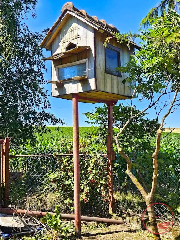 dom, 3 pokoje Karczówka. Zdjęcie 15