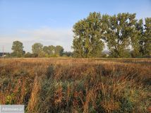 Działka budowlana Mnichowo. Zdjęcie 4