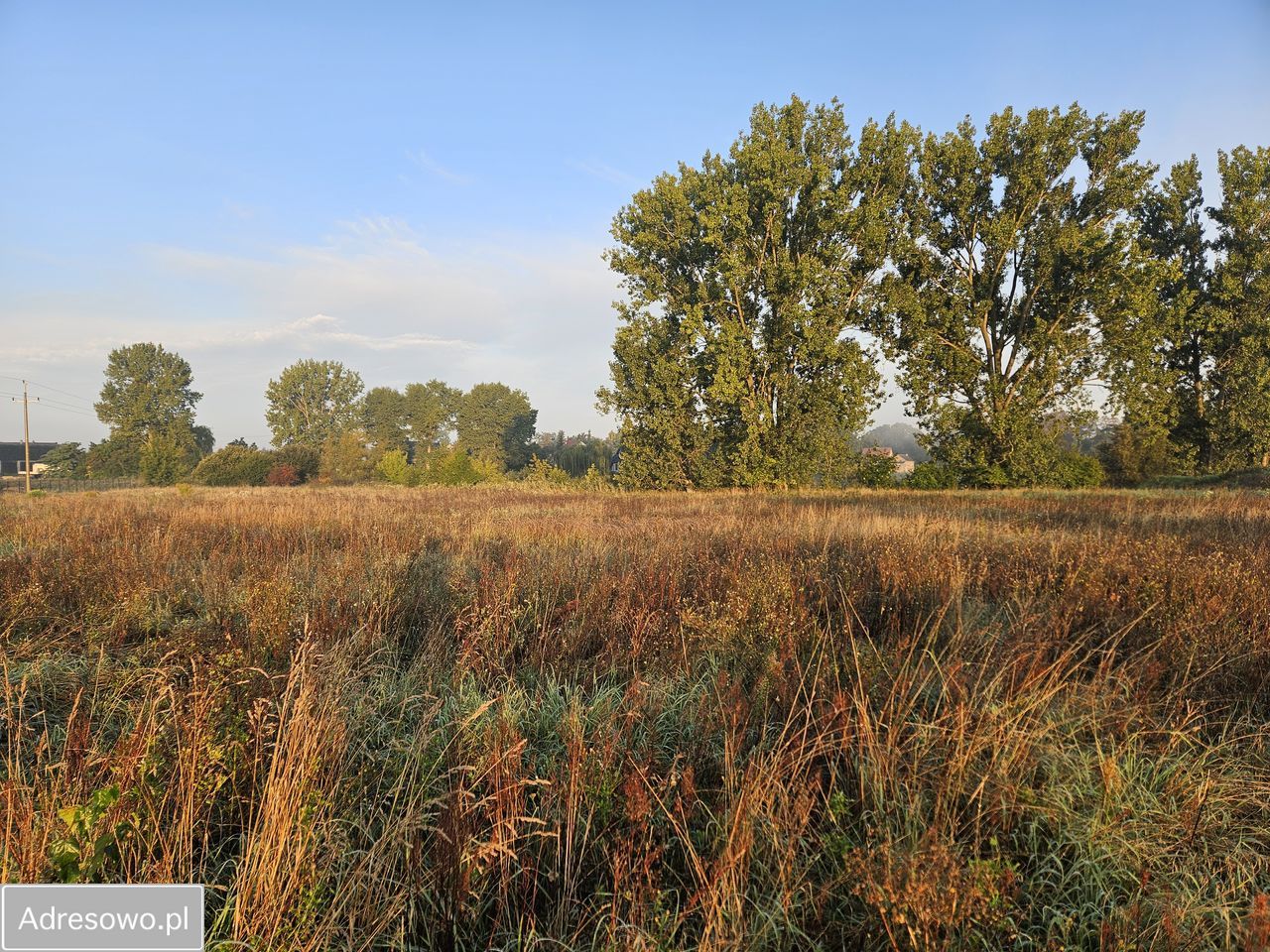 Działka budowlana Mnichowo. Zdjęcie 5