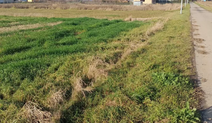 Działka budowlana Holendry Kuźmińskie