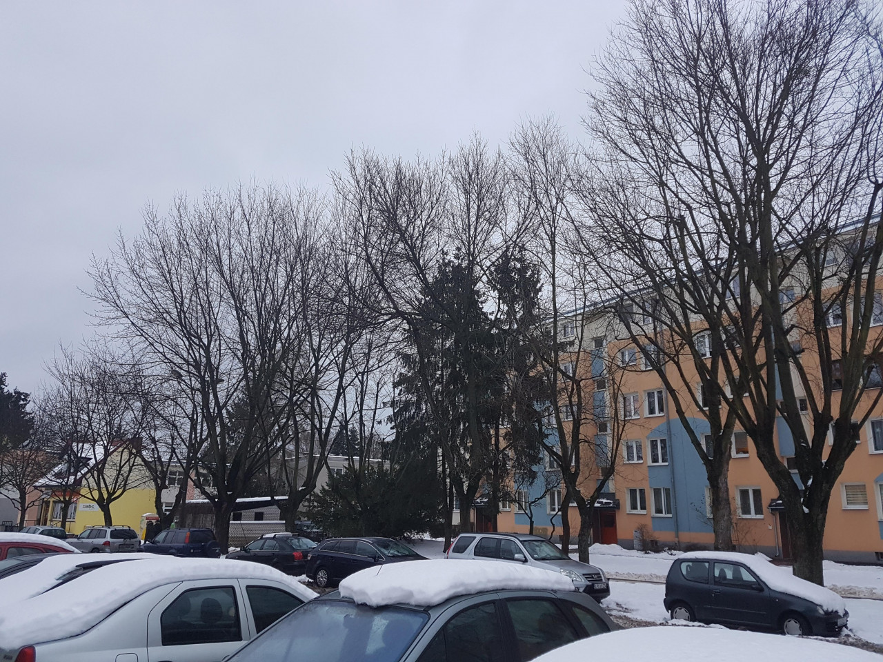 Mieszkanie 3-pokojowe Puławy Centrum, ul. Marii Curie-Skłodowskiej