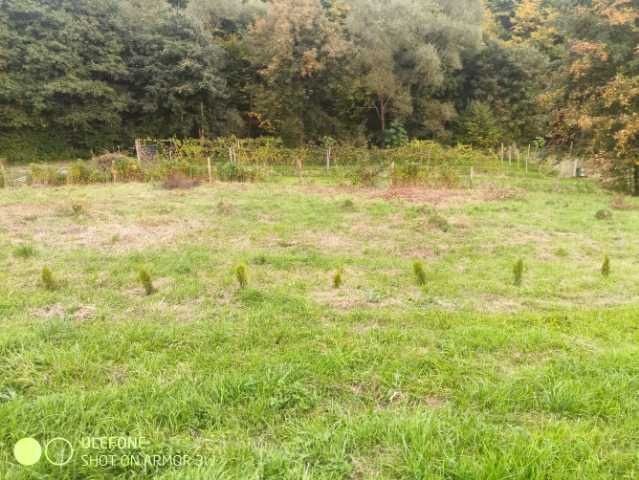 Działka rolno-budowlana Golcowa. Zdjęcie 6