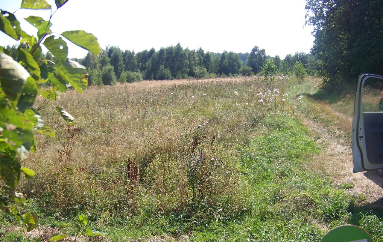 Działka rolna Lipiny