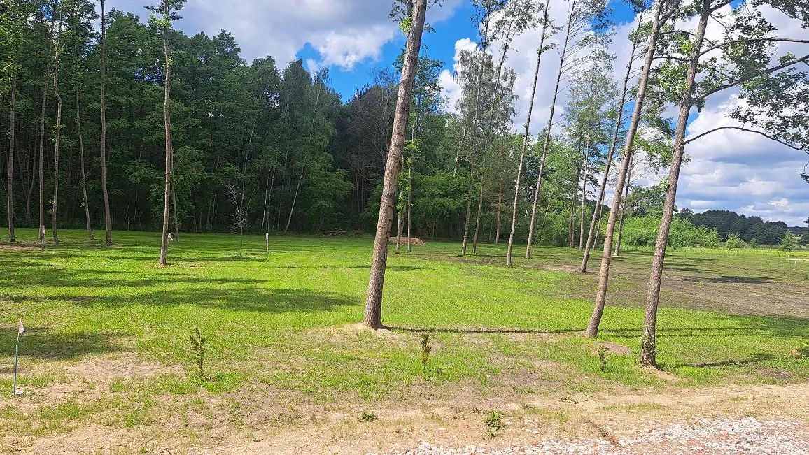 Działka budowlana Trzebiegoszcz. Zdjęcie 2