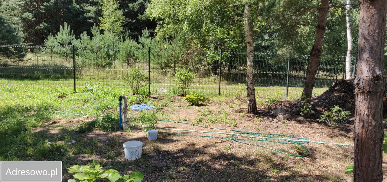 Działka budowlana Borowiec. Zdjęcie 6