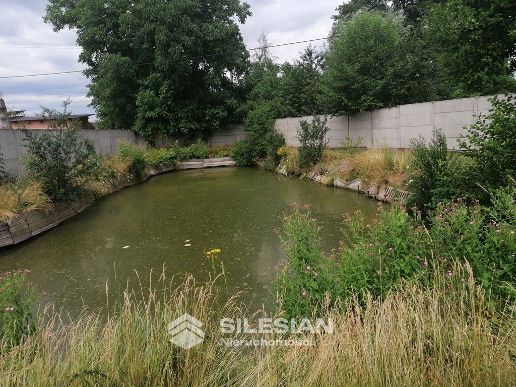 kamienica, 10 pokoi Dzierżoniów, ul. Błonie. Zdjęcie 32