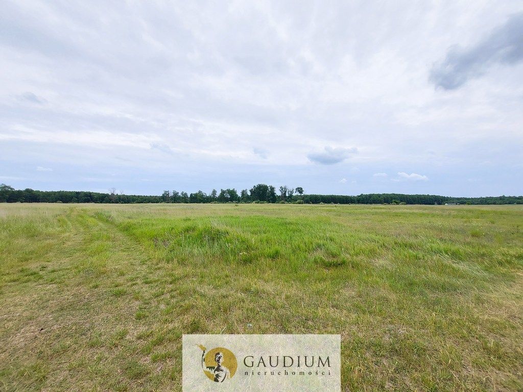 Działka Karszyn. Zdjęcie 17