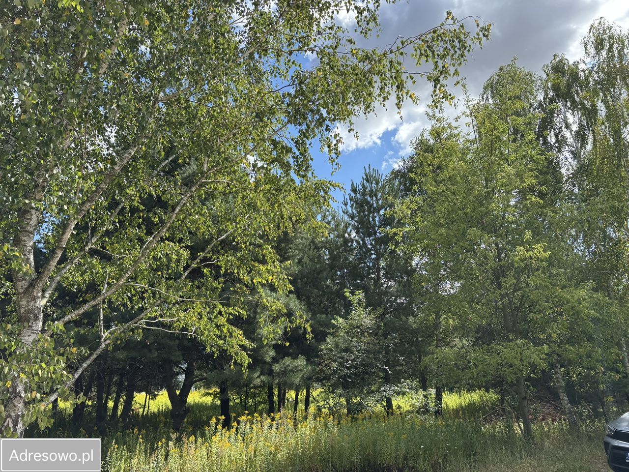 Działka budowlana Miłoszyce, ul. Azaliowa. Zdjęcie 6