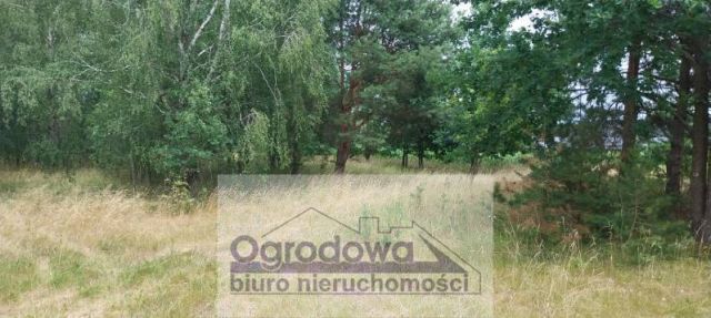 Działka siedliskowa Nowy Kębłów. Zdjęcie 3