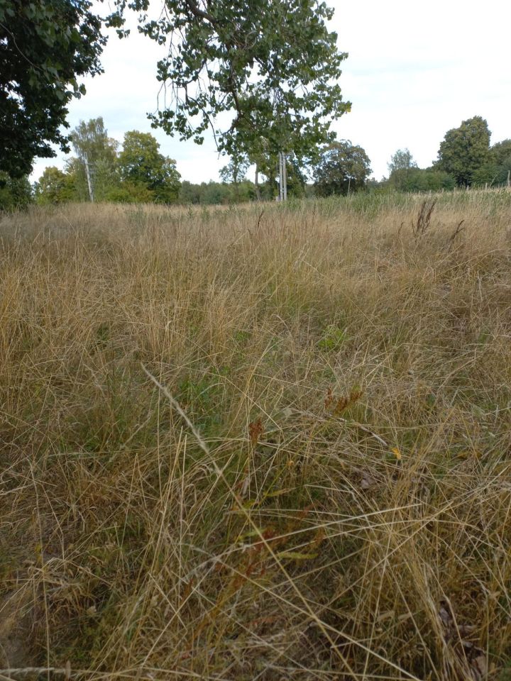 Działka budowlana Kołczewo Kołczewko, ul. Osadników Wojskowych. Zdjęcie 3
