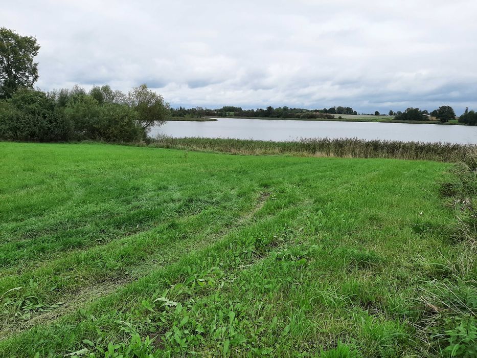 Działka budowlana Długochorzele. Zdjęcie 5