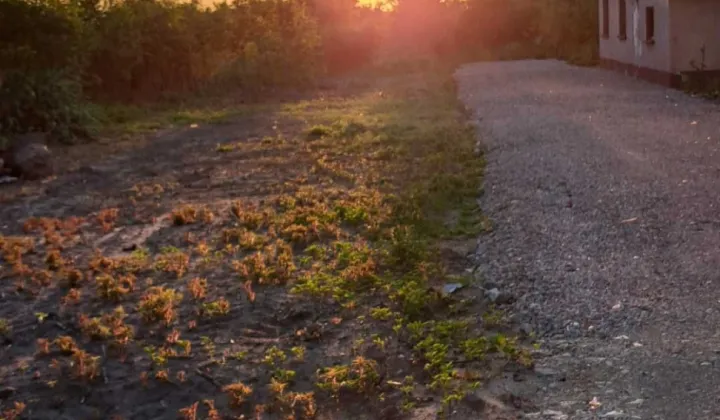 Działka budowlana Wojkowice Kościelne, ul. Drogowców