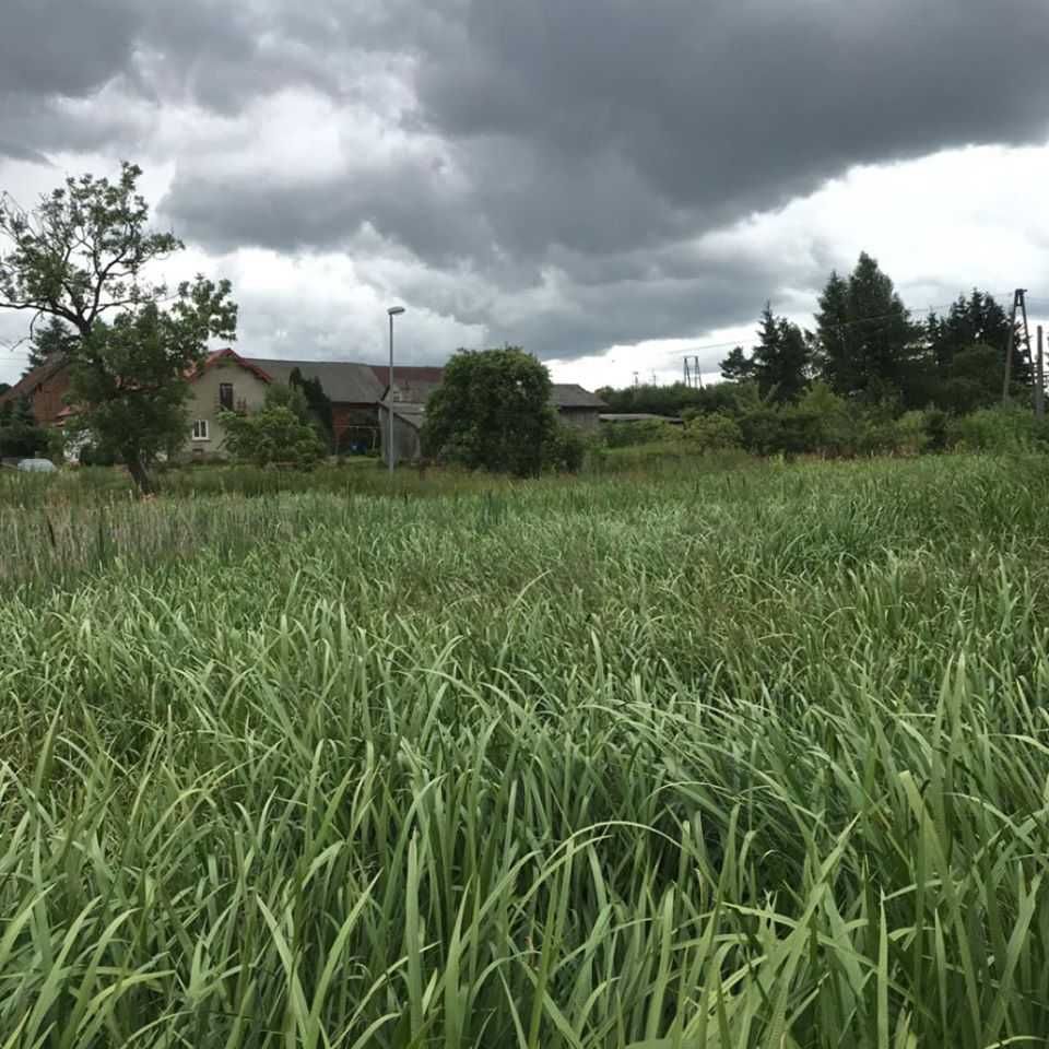 Działka budowlana Łączno. Zdjęcie 5