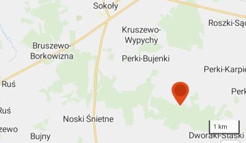 Działka leśna Perki-Franki, Drągi