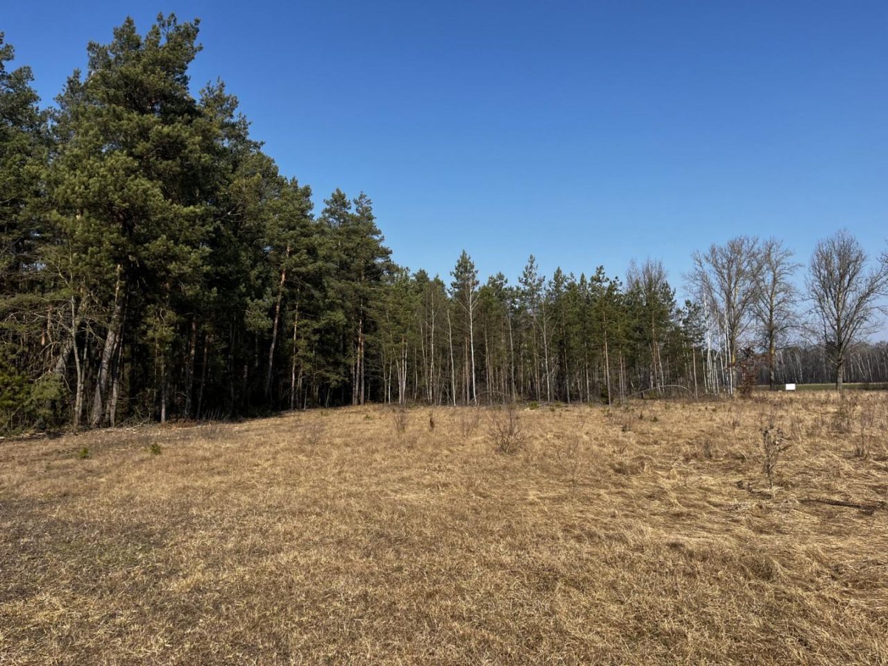 Działka budowlana Henrysin. Zdjęcie 7