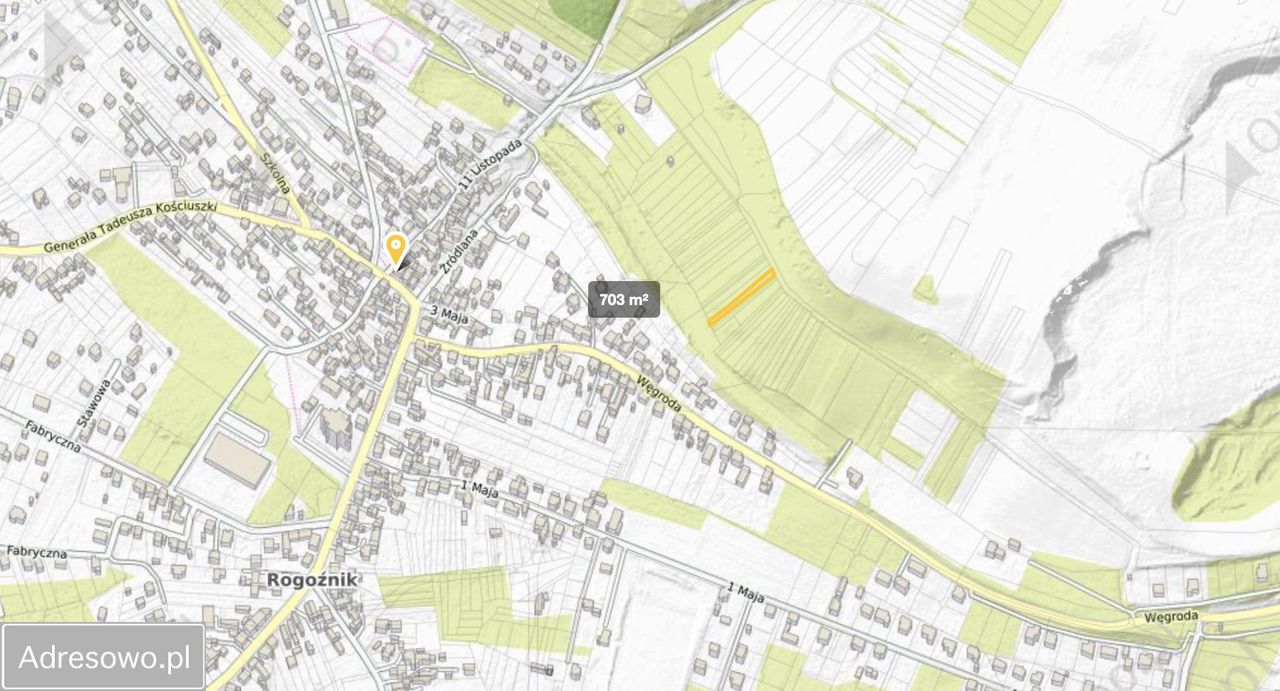 Działka rolna Rogoźnik. Zdjęcie 3