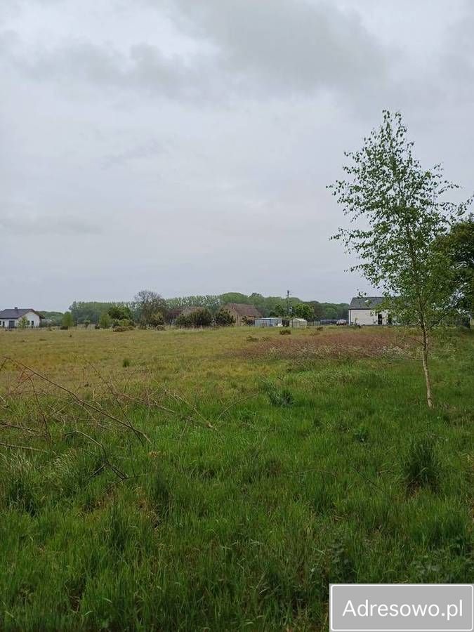 Działka inwestycyjna Kikorze. Zdjęcie 8