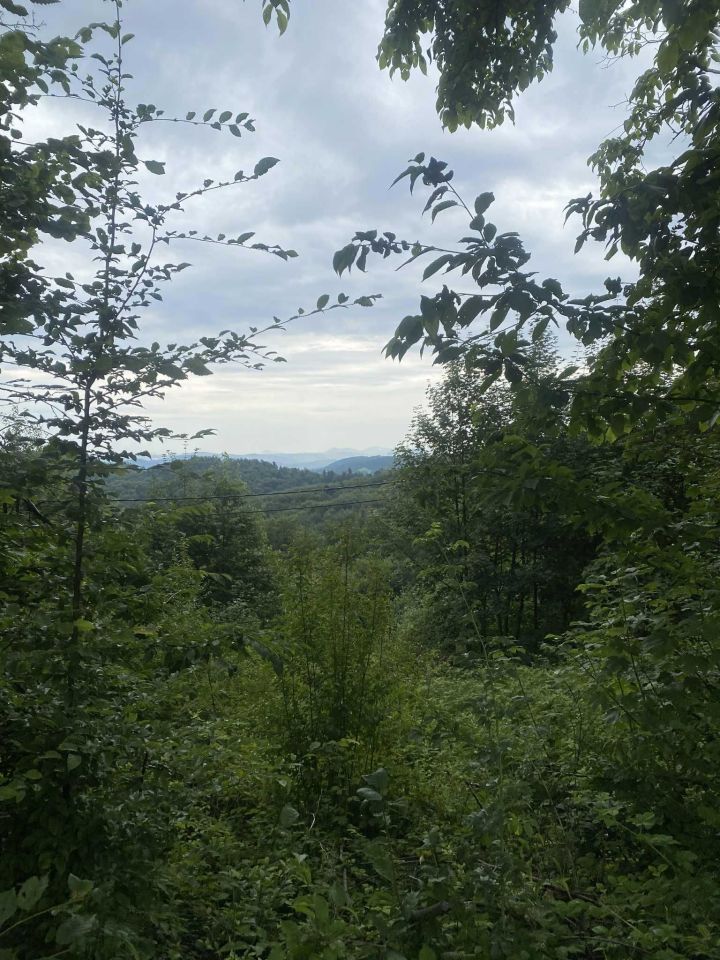 Działka rekreacyjna Wojakowa. Zdjęcie 3