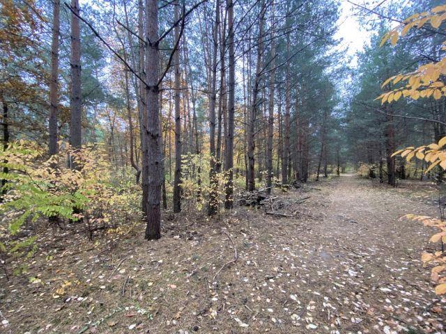 Działka leśna Warszawa Białołęka, ul. Insurekcji. Zdjęcie 4