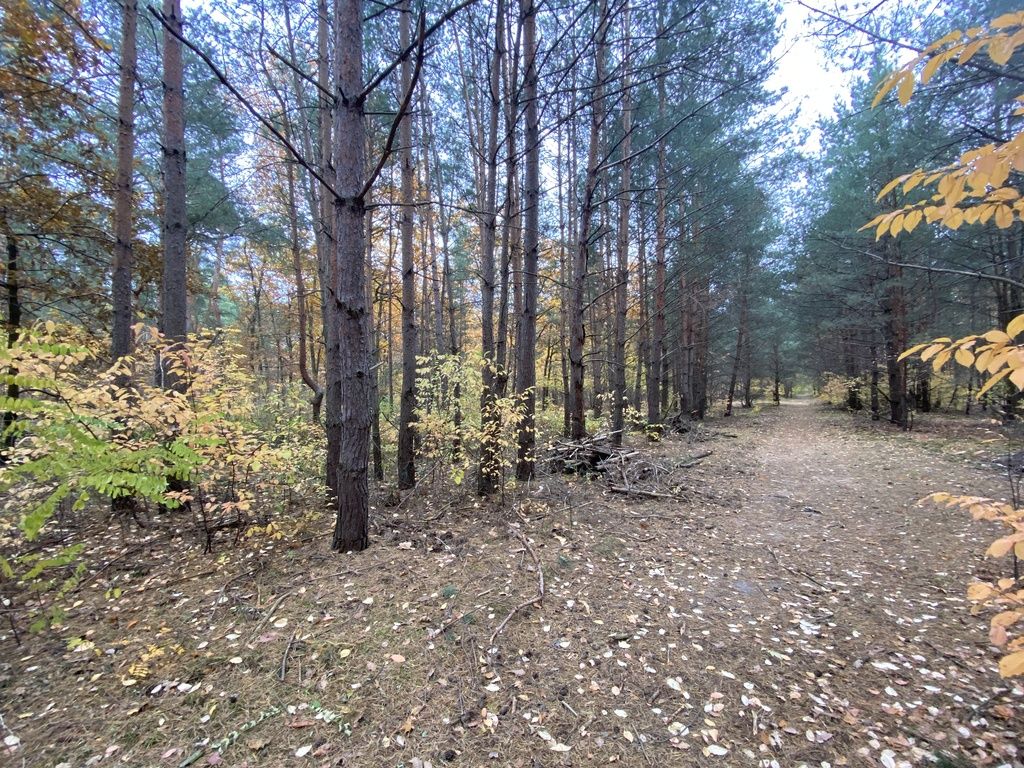 Działka leśna Warszawa Białołęka, ul. Insurekcji. Zdjęcie 4