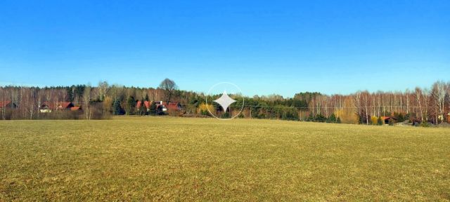 Działka rolna Marcinkowo. Zdjęcie 6