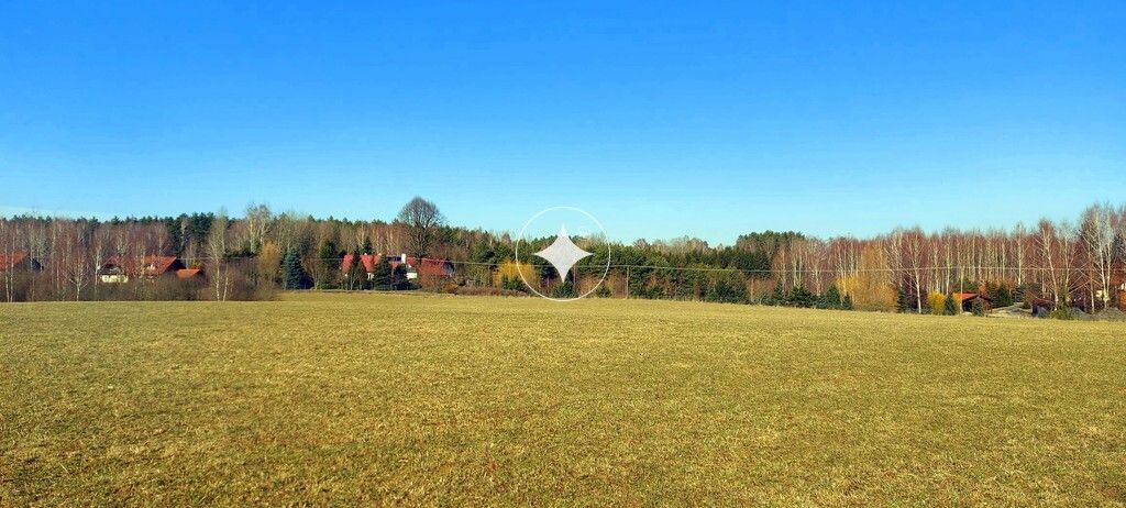 Działka rolna Marcinkowo. Zdjęcie 6