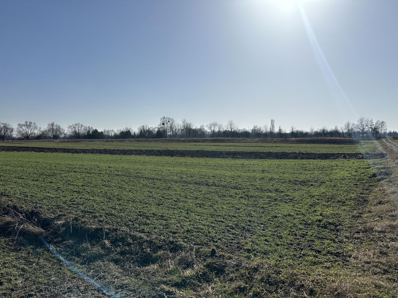 Działka rolna Łęg. Zdjęcie 5