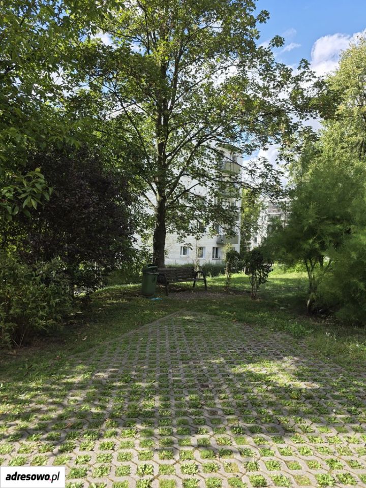 Mieszkanie 3-pokojowe Sosnowiec Milowice, ul. Szosowa. Zdjęcie 15
