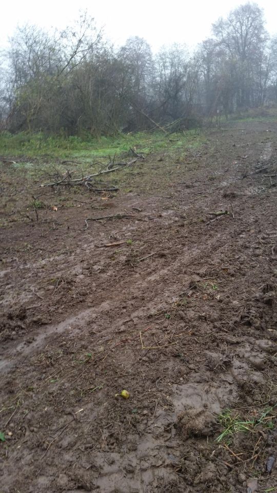 Działka inwestycyjna Kraków Olszanica, ul. Olszanicka. Zdjęcie 2