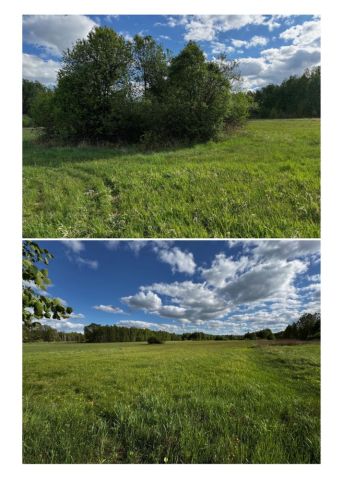 Działka budowlana Dobre, ul. Szkolna. Zdjęcie 1