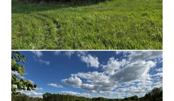 Działka budowlana Dobre, ul. Szkolna