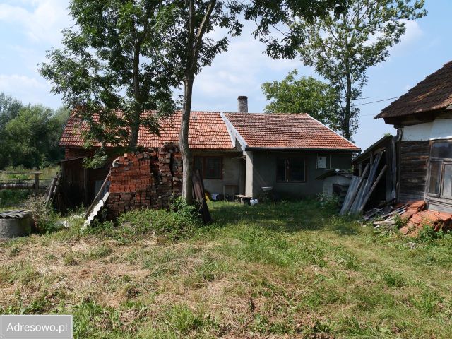 Działka rolno-budowlana Sielec. Zdjęcie 1