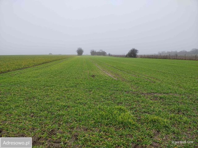 Działka rolna Nowy Lubosz. Zdjęcie 1