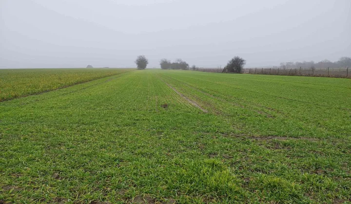 Działka rolna Nowy Lubosz